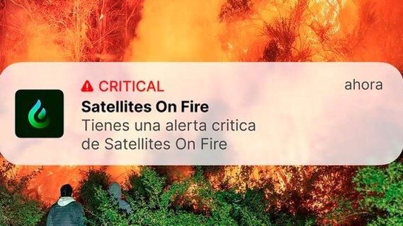 Image for twitter card